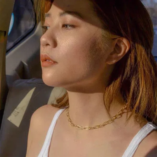 hot fashion paper clip chain necklace