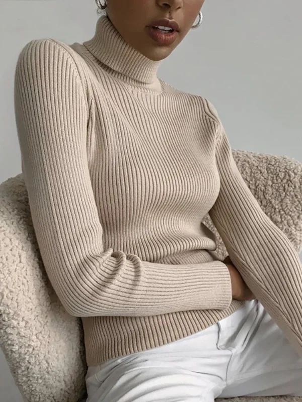 cozy turtleneck sweater for women